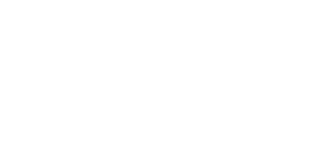 VandS - Ёгсам (ганнам) салбар Logo