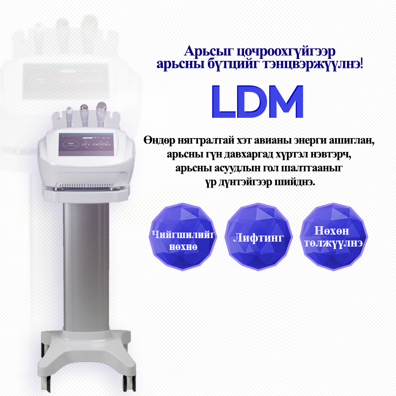 LDM - VandS - Ёгсам (ганнам) салбар